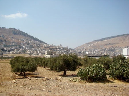 Mt. Ebal (right) and Mt. Gerizim (left). Shechem is at center. Photo by Leon Mauldin.