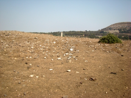 Sde Amudim in lower Galilee looking toward Capernaum. Photo by Leon Mauldin.